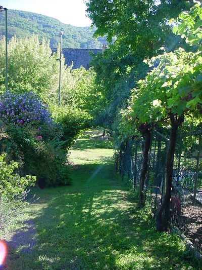 Vacances vertes � Entraygues-sur-Truy�re