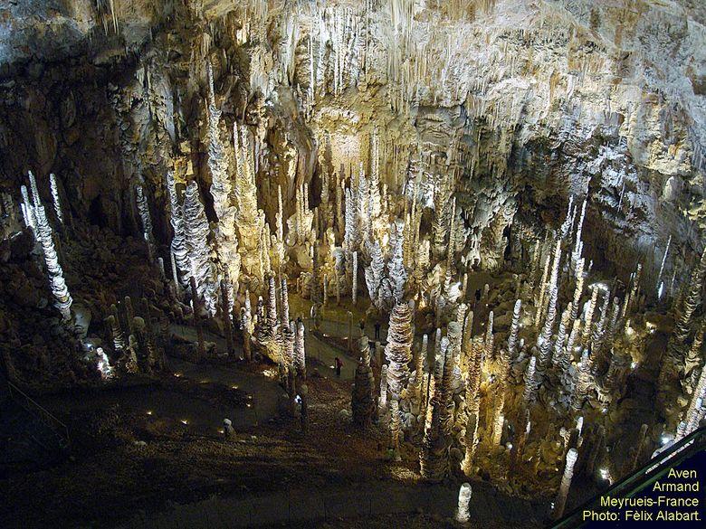 L'aven Armand est une grotte située en Lozère entre Meyrueis et Sainte-Enimie, sur la commune de Hures-la-Parade. Elle abrite une forêt de stalagmites. Elle porte le nom de son découvreur, Louis Armand, forgeron au Rozier, qui y descendit le premier.
