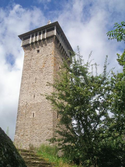 La tour de Peyrebrune (sur la commune d'Alrance), récemment restaurée, domine le lac de Villefranche de Panat et démontre que la région était active depuis le Moyen Âge.