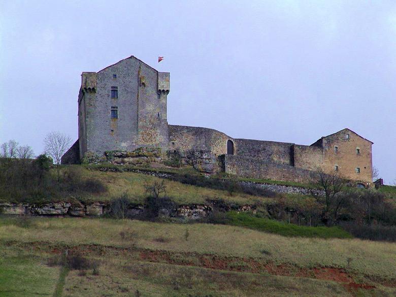 Situé aux abords de la voie romaine de Camarès - Saint-Affrique, ce château féodal, bâti au X° siècle sur un éperon rocheux, domine le rougier de Camarès.