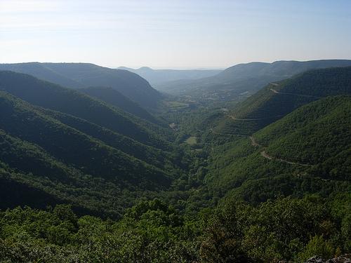 Le Larzac est un vaste plateau de calcaire datant de l'ère jurassique approximativement nivelé par l'érosion et séparé des autres causses par des rivières coulant au fond de gorges et de vallées profondes.