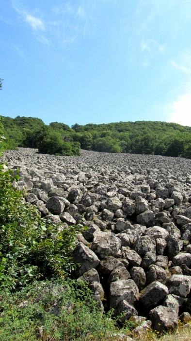 Situé 800m avant le château de Roquelaure, cet impressionnant champ de pierres, appelé Clapas de Thubiès va se perdre dans une forêt de hêtres, chênes et châtaigniers.