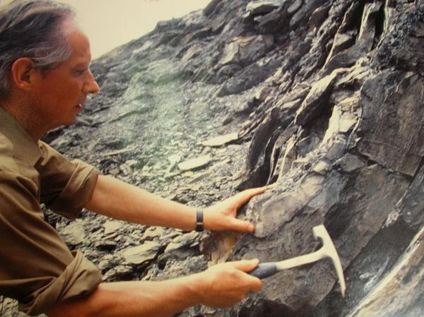 Désireux de préserver les roches et les fossiles qu’il collecta inlassablement tout au long de sa carrière, Pierre Vetter créa en 1977 le Musée de Géologie de Decazeville.