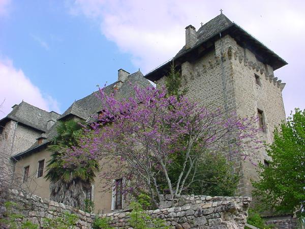 Le château fort d'Entraygues sur Truyère - Aveyron